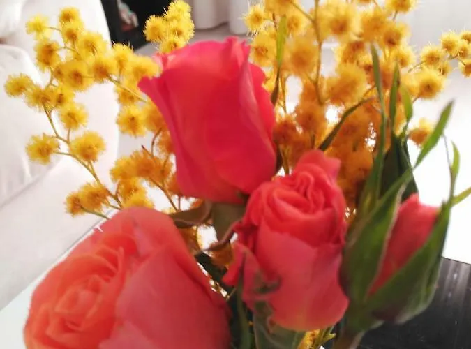 Lejlighed En Centro Historico Con Garaje Propio *