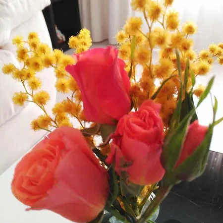 Apartment Apartamento En Centro Historico Con Garaje Propio *